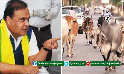 असम का नया मवेशी विधेयक: हिंदू, सिख, जैन क्षेत्रों या मंदिर के 5 किमी के दायरे में नहीं बेच सकते बीफ