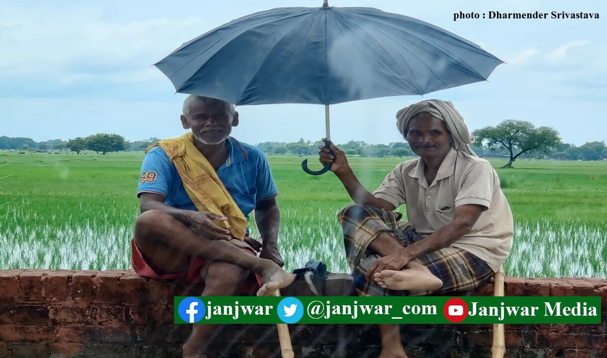 आफत की बारिश ने किया किसानों को तबाह, किसान यूनियनों ने की सरकार से मुआवजे की मांग