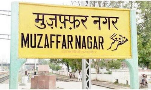 UP : मुजफ्फरनगर का एक गांव जहां 1300 की वोटिंग में 600 सांड, फसल की बर्बादी से तबाह होते किसान