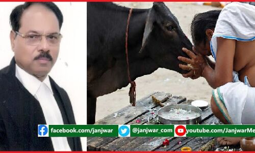 मदरसों और गायों पर यूपी हाईकोर्ट की सनसनीखेज टिप्पणियां : क्या अदालतें भी आईं चुनावी मोड में