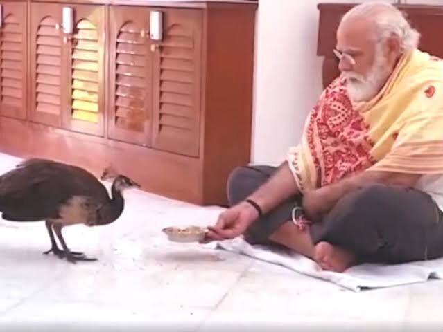 PM ने जितना वक्त मोरों को दिया, उतना मैन्युफैक्चरिंग सेक्टर को न दिया, फोर्ड मोटर्स के भारत में बंद होने पर कांग्रेस नेता का तंज