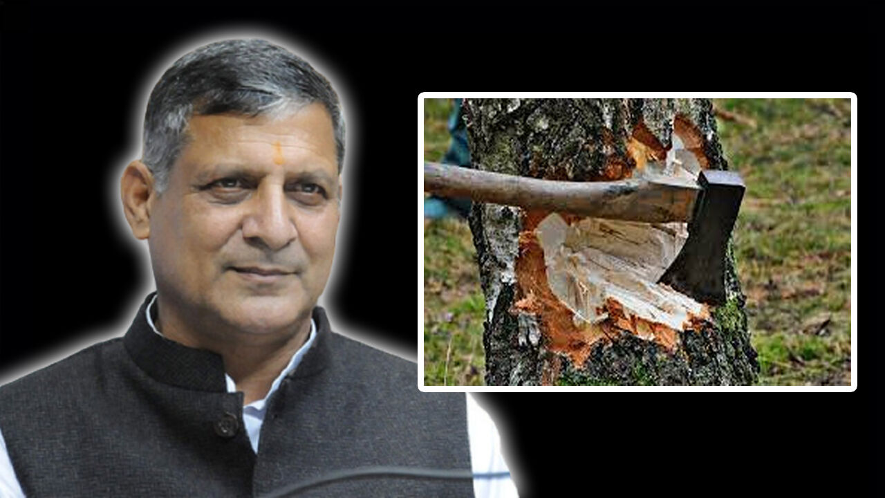 Haryana News : हरियाणा वन मंत्री के हलके में पेड़ों पर मंडरा रहा खतरा, बेलगाम तस्करों की बढ़ रही गतिविधियां