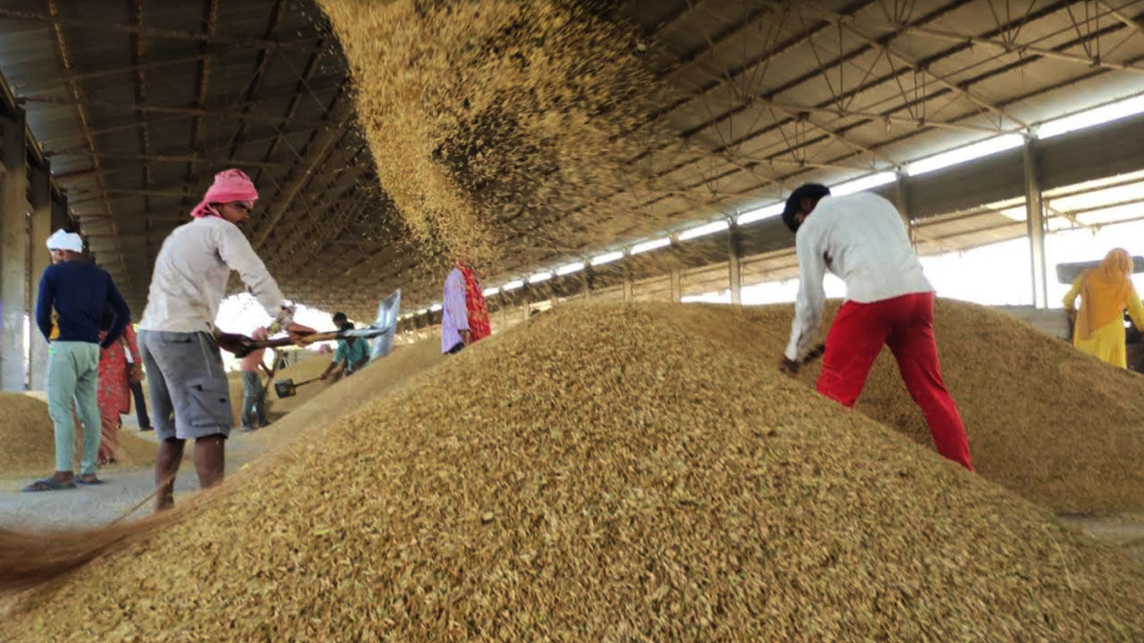 Haryana News : इधर बरसात का अंदेशा, दूसरी ओर धान की सरकारी खरीद केंद्र सरकार ने 11 अक्टूबर तक टाल दी