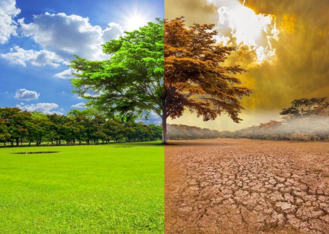 climate change crisis real impact, what is climate change, news about climate change, climate change definition, cause of climate change, definition of climate change, causes of climate change,