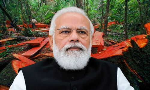 BJP Govt में उद्योगपतियों के फायदे के लिए अंधाधुंध हो रहा जंगलों का दोहन, पूर्वोत्तर में वनों का कटान सर्वाधिक