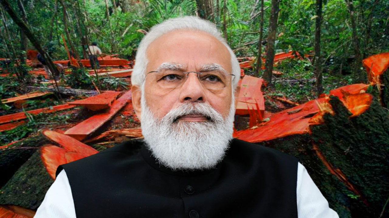 BJP Govt में उद्योगपतियों के फायदे के लिए अंधाधुंध हो रहा जंगलों का दोहन, पूर्वोत्तर में वनों का कटान सर्वाधिक