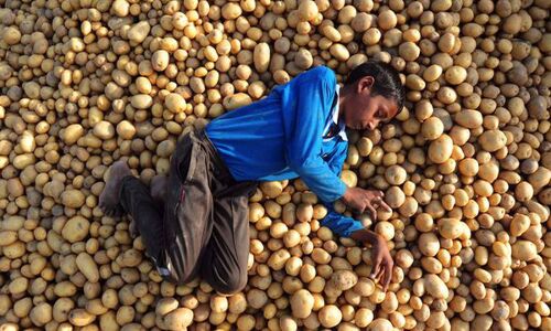 SBI Report : अर्थव्यवस्था में अनौपचारिक क्षेत्र का तेजी से घटा हिस्सा, कोरोना महामारी का अबतक भुगत रहा खामियाजा