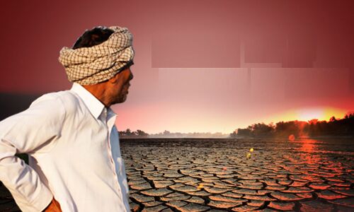 Bundelkhand News : ग्राउंड रिपोर्ट : समस्याओं के दुष्चक्र में उलझा है बुन्देलखण्ड का किसान