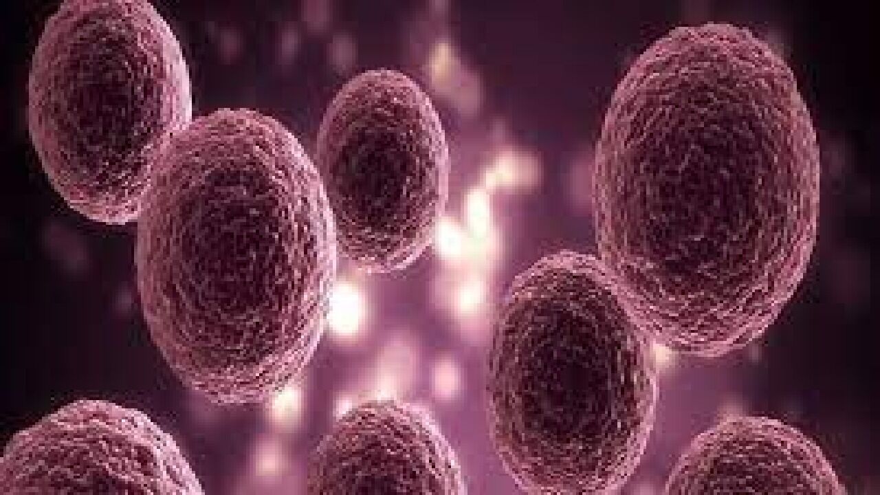 Norovirus Case : भारत में नए वारयस की एंट्री, वायनाड में 13 केस मिलने से हड़कंप जाने क्या है नोरोवायरस Norovirus Case : भारत में नए वारयस की एंट्री, वायनाड में 13 केस मिलने से हड़कंप जाने क्या है नोरोवायरस