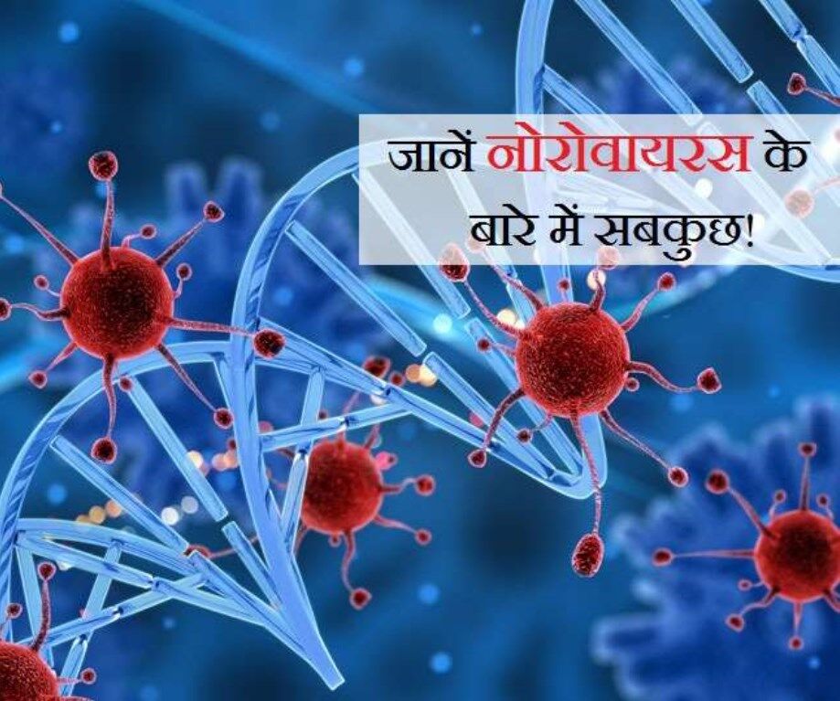 Norovirus Kya Hai, Is Norovirus More Dangerous Than Coronavirus Know Everything About The Virus,