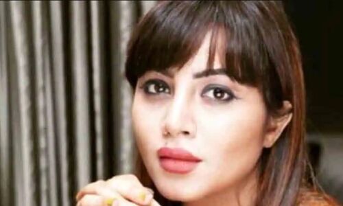 Arshi Khan Accident: Bigg Boss स्टार Arshi Khan का हुआ भयंकर एक्सीडेंट, जख्मी हालत में हुईं भर्ती