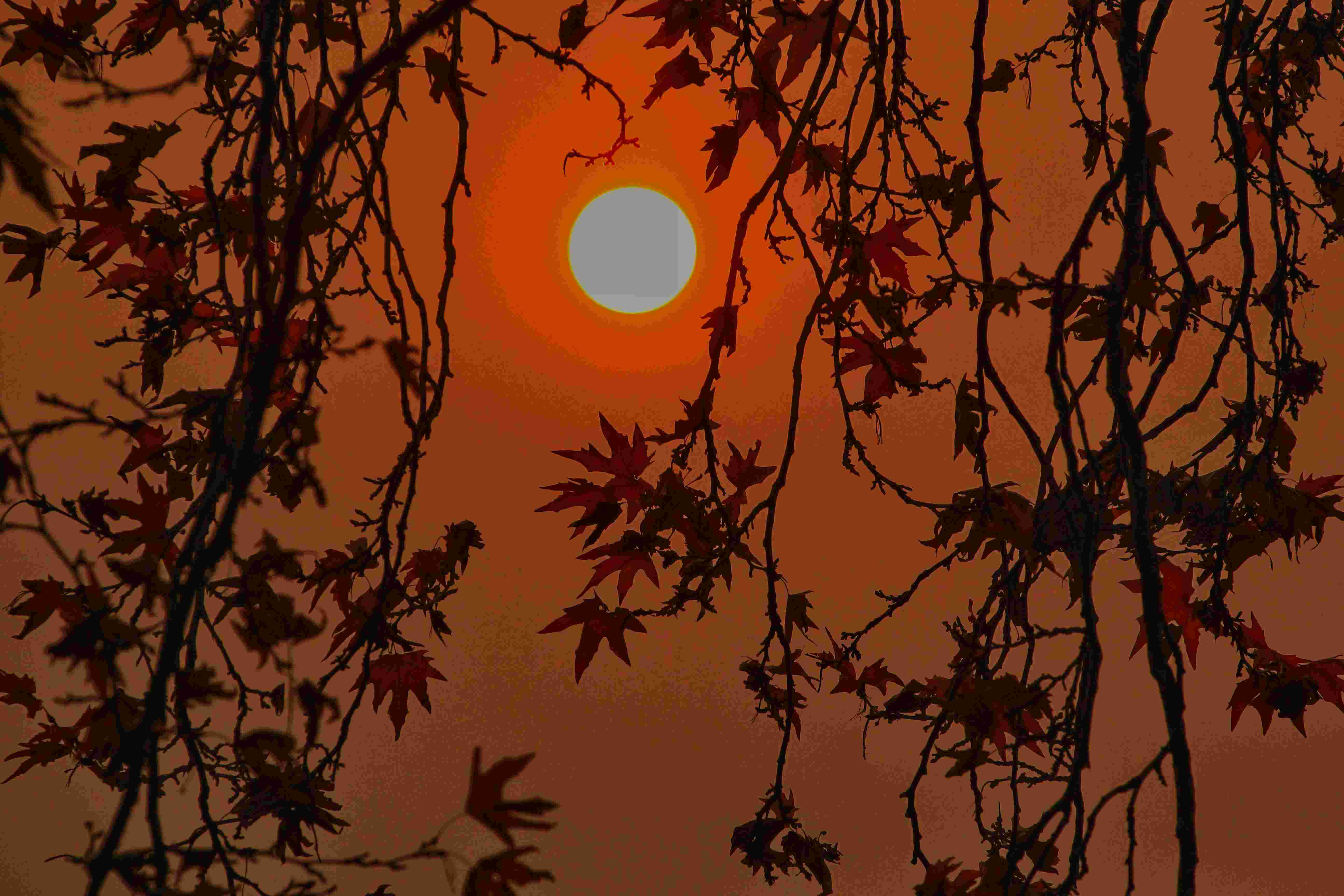 Autumn in jammu and kashmir : कश्मीर घाटी की मन मोहने वाली शरद ऋतु