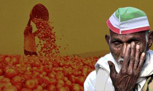 किसान ने बेचा 1,123 किलो प्याज, कमाई सुनकर आपका दिमाग चकरा जायेगा