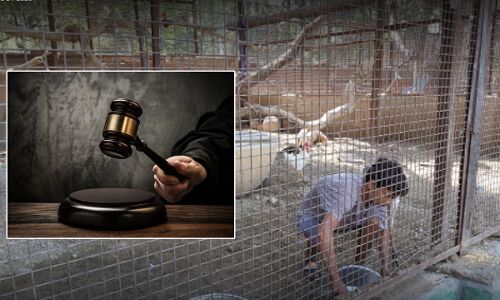 Delhi HC : जमानत की शर्त का उल्लंघन करने पर शाहरुख अली को अदालत का आदेश, पशु देखभाल केंद्र में करें मुफ्त सेवा