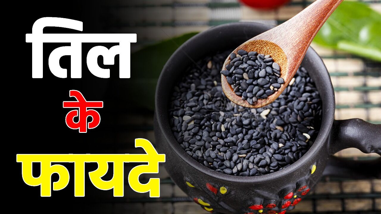 तिल के फायदे, उपयोग और नुकसान | Til ke Fayde, Kaise Upyog kren, Kya hai Nuksan Hindi