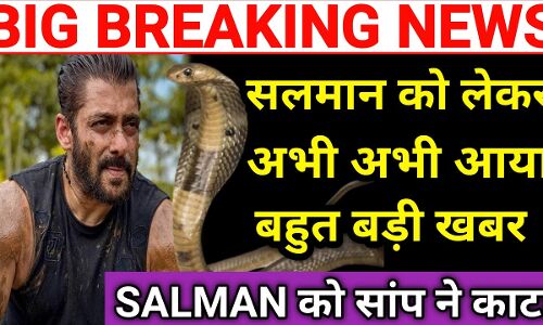 Salman Khan Hospitalise: सलमान खान को सांप ने काटा, अस्पताल में भर्ती, जानिए अब कैसे हैं सलमान