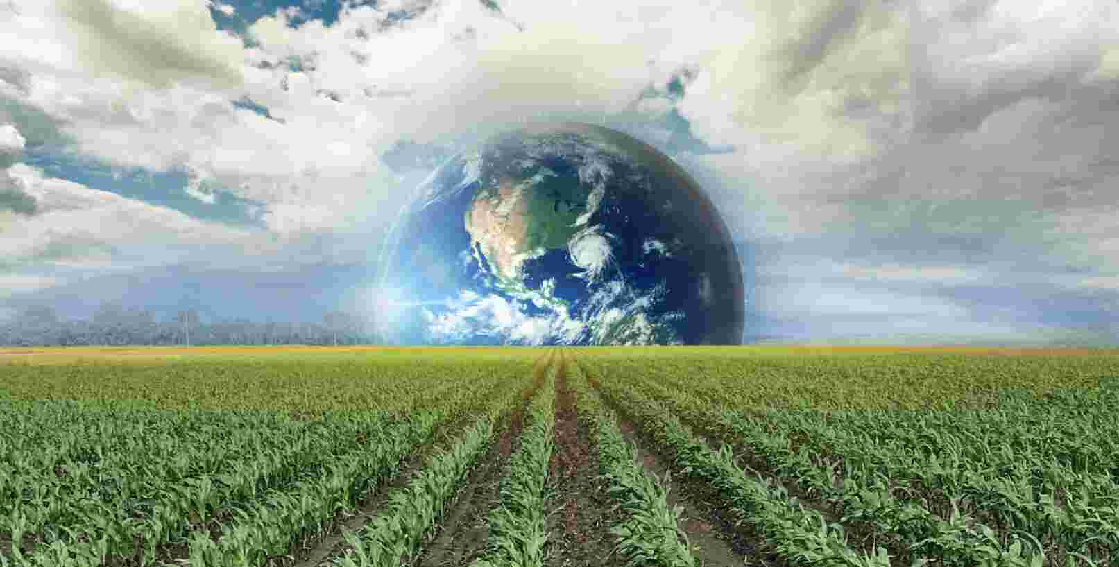 The Earth – A Unified Global Farm | एक बड़े खेत में तब्दील होती पृथ्वी