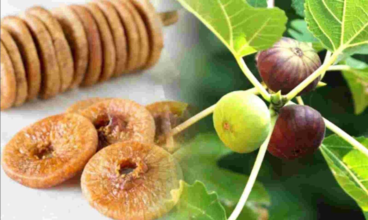 Anjeer Khane Ke Fayde | अंजीर खाने के फायदे, नुकसान, उपयोग |  Benefits, Side Effects and How to Eat Figs in Hindi