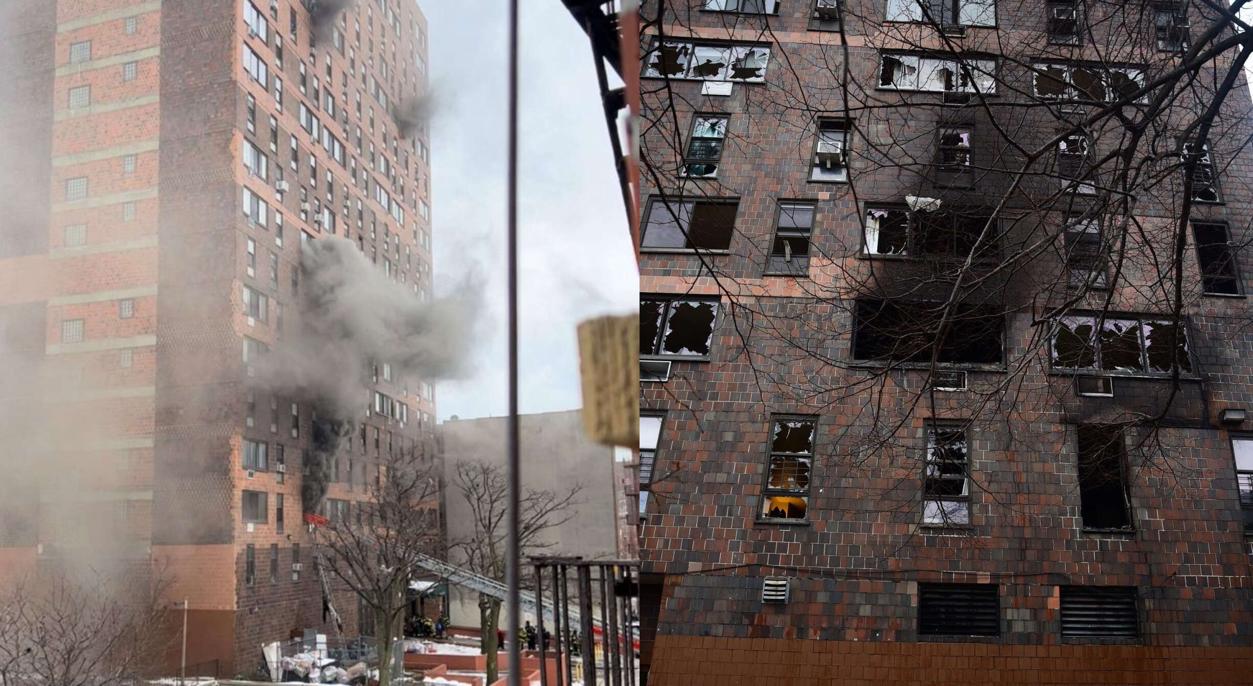 New York Fire: अपार्टमेंट में भीषण आग, 9 बच्चे समेत कुल 19 लोगों की मौत
