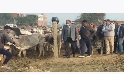 Ghazipur News : फतेहनगर में मवेशियों की मौत पर बवाल, बजरंग दल के कार्यकर्ताओं ने अफसरों की नहीं मानी बात