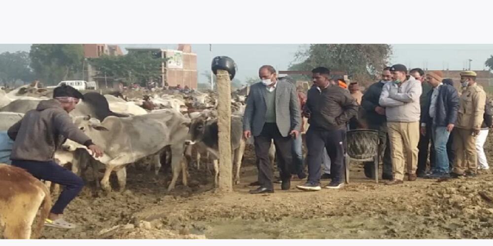 Ghazipur News : फतेहनगर में मवेशियों की मौत पर बवाल, बजरंग दल के कार्यकर्ताओं ने अफसरों की नहीं मानी बात