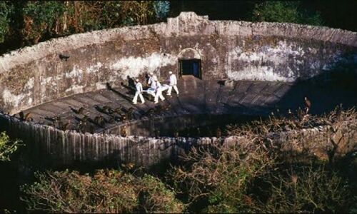 मरने के बाद शवों को गिद्धों के लिए छोड़ जाते हैं, पारसी समुदाय में अजीबोगरीब अंतिम संस्कार का मामला पहुंचा सुप्रीम कोर्ट