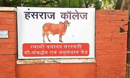 Delhi University News : दिल्ली विश्वविद्यालय में खुलेगी गौशाला, कॉलेज के छात्रों को मिलेगा शुद्ध दूध और दही