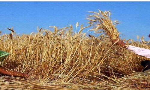 Budget 2022 : मोदी का बजट किसानों का भरोसा जीतने में नाकाम, नहीं बढ़ा पीएम किसान निधि का पैसा