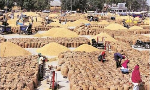 Madhya Pradesh News: किसानों से ठगी, मंडी से करोड़ों रुपया ठगकर फरार हुआ व्यालापारी