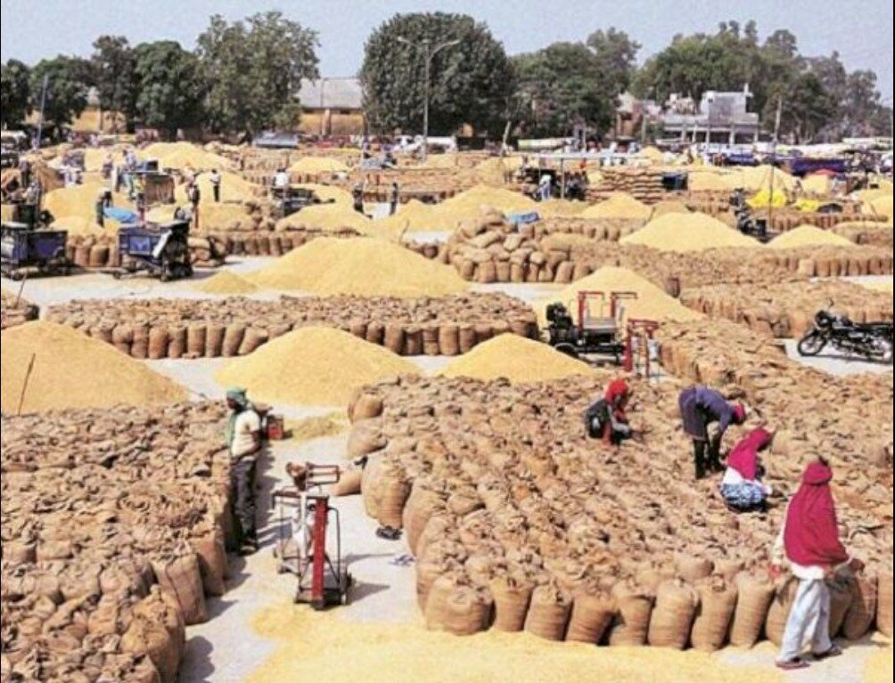 Madhya Pradesh News: किसानों से ठगी, मंडी से करोड़ों रुपया ठगकर फरार हुआ व्यालापारी
