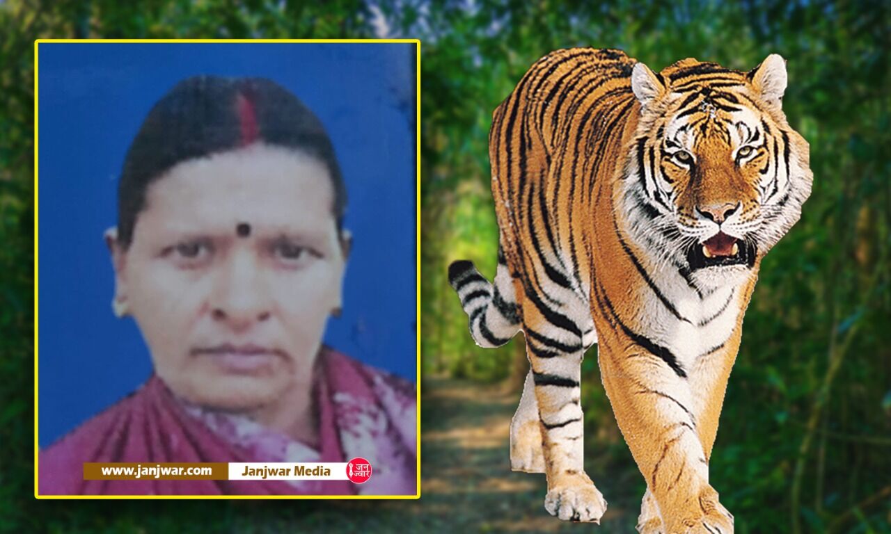 Ramnagar News : उत्तराखण्ड में फिर एक महिला बनी बाघ का शिकार, जंगल में घास लेते  वक्त आदमखोर ने बना लिया निवाला