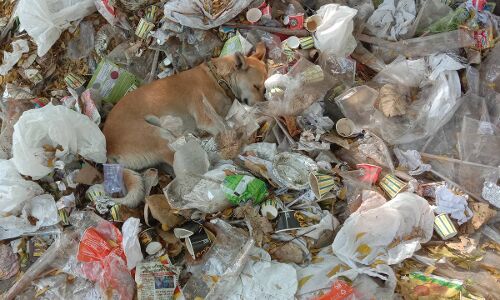 Plastic Waste : दुनियाभर में प्रत्येक वर्ष पैदा होता है 30 करोड़ टन प्लास्टिक कचरा, इससे निपटने के लिए  नया अंतर्राष्ट्रीय समझौता