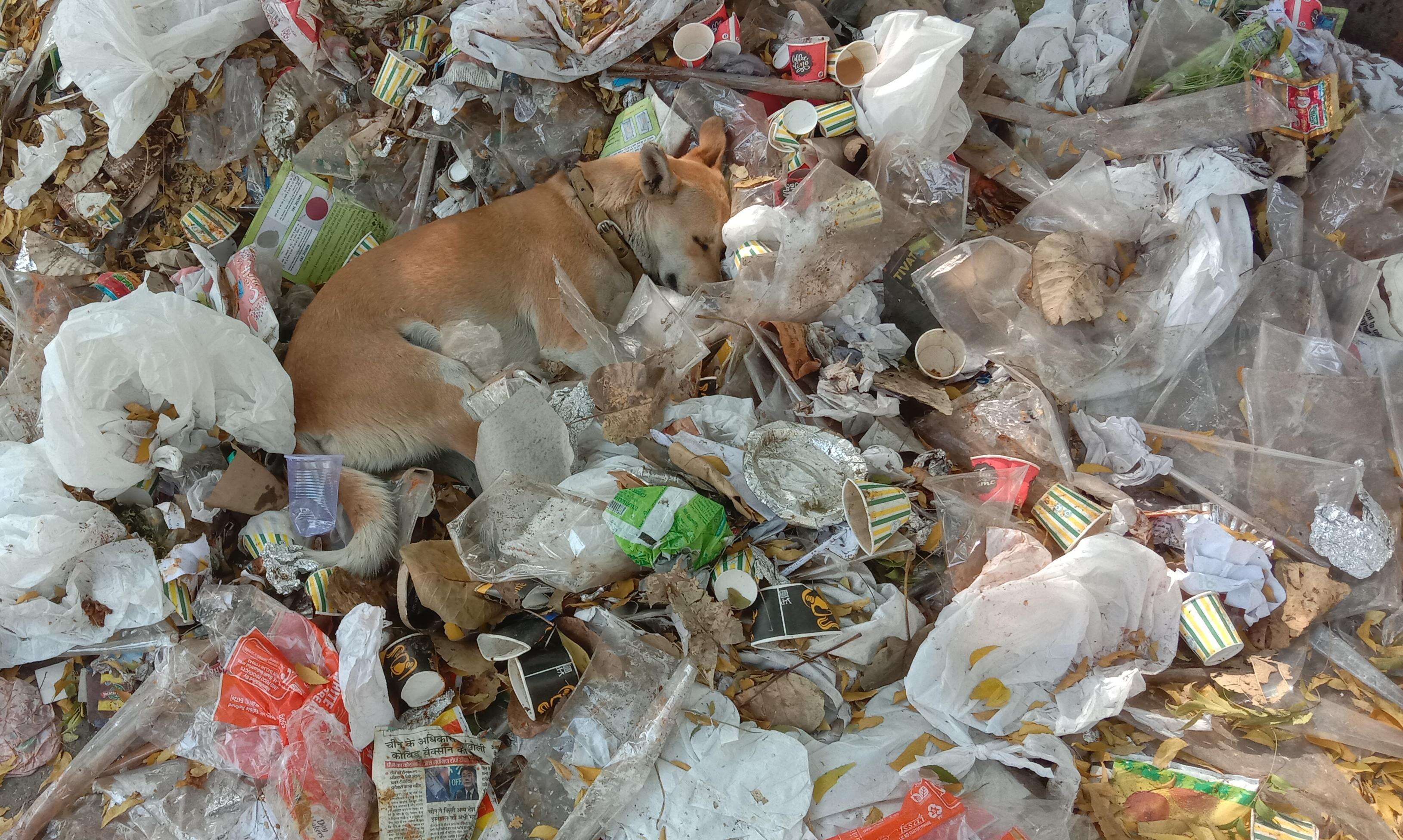 प्लास्टिक कचरे से निपटने के लिए नया अंतर्राष्ट्रीय समझौता | New Global Treaty on Plastic Waste |