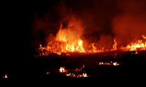 Kolkata Fire : कोलकाता के गोदाम और गेस्ट हाउस में लगी आग, मौके पर 6 दमकल वाहन