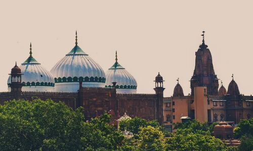 Sri Krishna Janmabhoomi Dispute : यूपी में भाजपा को बहुमत मिलने के दूसरे दिन ही हिंदुओं को मथुरा की मस्जिद सौंपने वाली याचिका हाईकोर्ट में स्वीकार