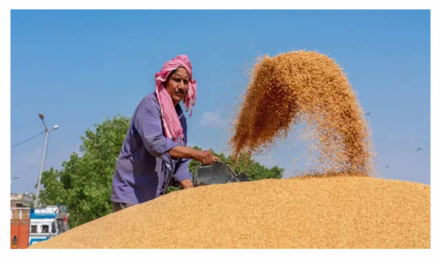 फसलों पर MSP की मांग को सुप्रीम कोर्ट पैनल ने क्यों कहा ‘अतार्किक’ फसलों पर MSP की मांग को सुप्रीम कोर्ट पैनल ने क्यों कहा ‘अतार्किक’