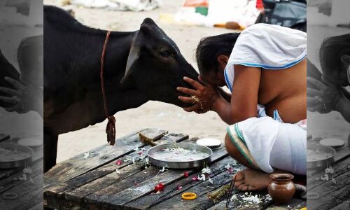Holy Cows Or Cash Cows : गाय का धर्मशास्त्र या अर्थशास्त्र : 20 साल में बदल गया सबकुछ Holy Cows Or Cash Cows : गाय का धर्मशास्त्र या अर्थशास्त्र : 20 साल में बदल गया सबकुछ