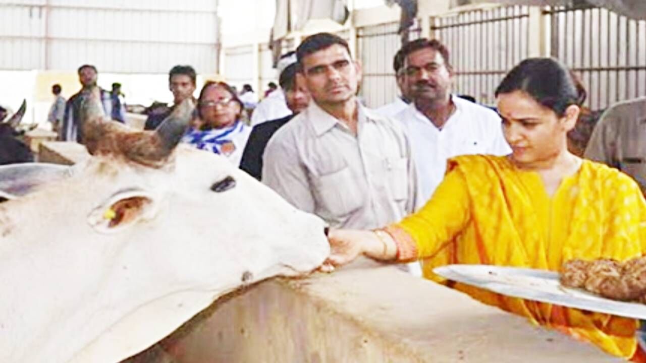 Aparna Yadav News : सपा राज में जिस गौ सेवा आयोग का 86% अनुदान अपनी संस्था के लिए ले लिया था, अब उसी की अध्यक्ष बन सकती हैं अपर्णा!