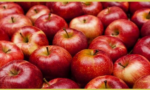 Health News : चमकीला और ताजा नजर आने वाला खूबसूरत सेब कैसे कर सकता है आपकी सेहत से खिलवाड़, जानकर रह जायेंगे दंग