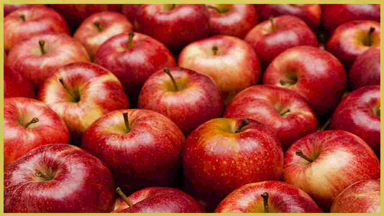Health News : चमकीला और ताजा नजर आने वाला खूबसूरत सेब कैसे कर सकता है आपकी सेहत से खिलवाड़, जानकर रह जायेंगे दंग