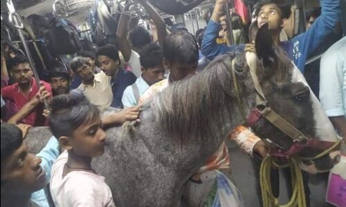 Viral Video: लोकल ट्रेन में घोड़ा लेकर चढ़ गया युवक, वीडियो वायरल होने के बाद रेलवे ने दिए जांच के आदेश