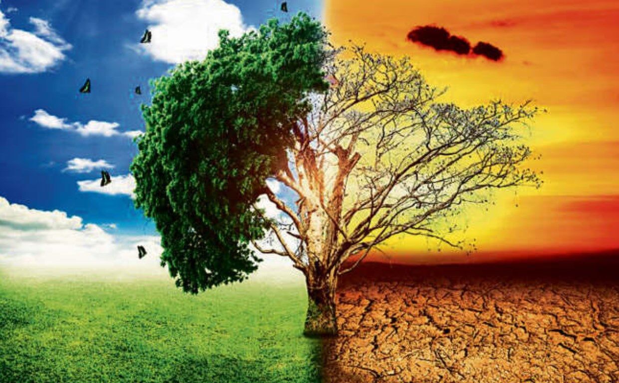 Climate Crisis News: जलवायु संकट का कोई सार्वभौमिक समाधान नहीं, मगर उम्मीद अभी बाक़ी है