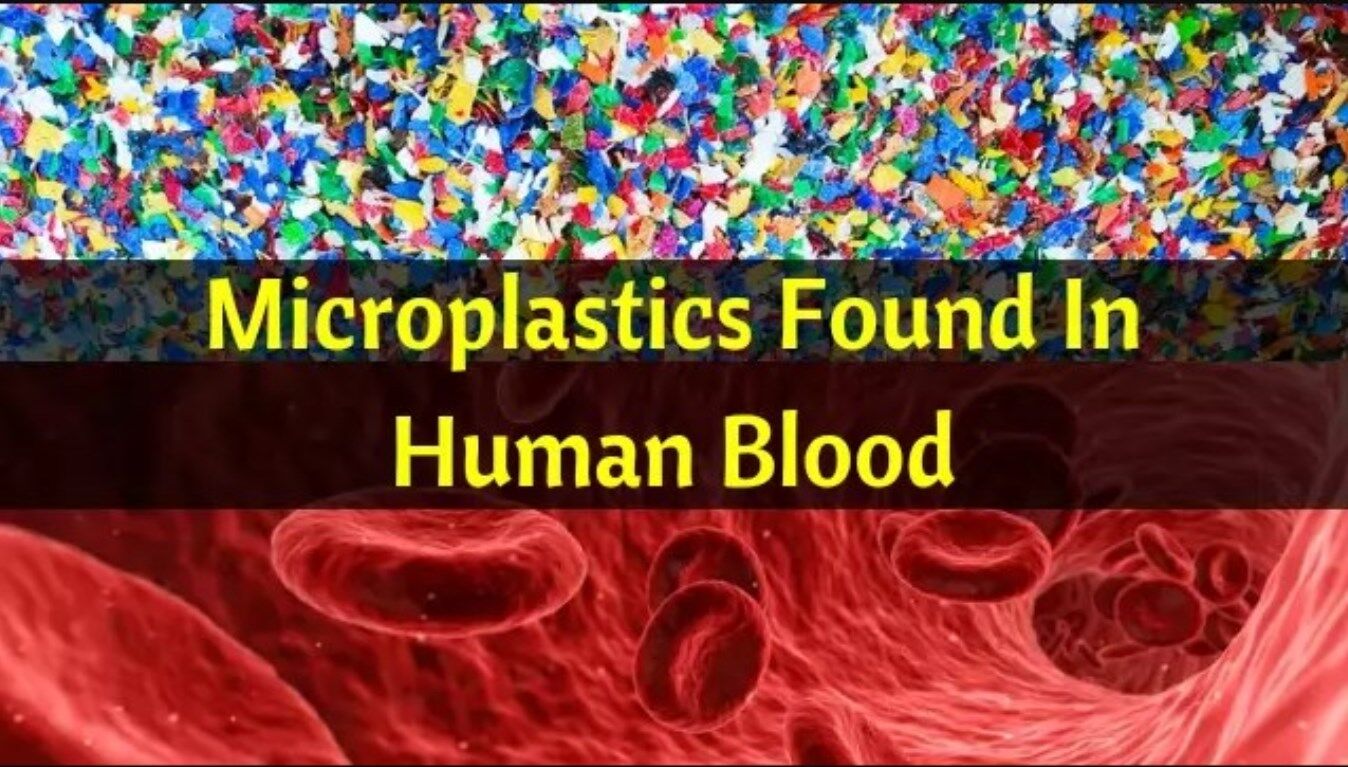 Microplastics in Lungs and Blood: हमारे फेफड़े तक पहुंच चुका है प्लास्टिक, क्या प्लास्टिक का कोई विकल्प नहीं?