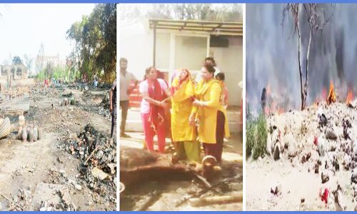 Ghaziabad Fire : गाजियाबाद के झुग्गी-झोपड़ी में लगी भीषण आग, गौशाला में जिंदा जल गईं 100 गायें