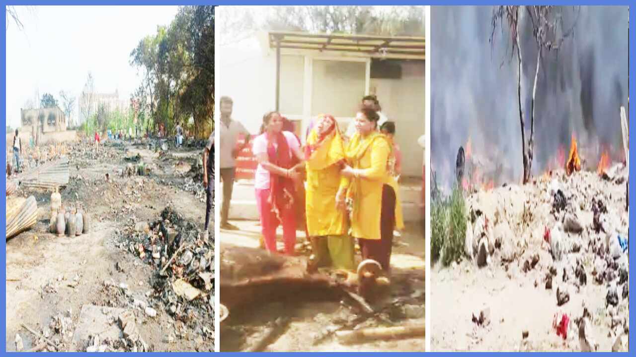 Ghaziabad Fire : गाजियाबाद के झुग्गी-झोपड़ी में लगी भीषण आग, गौशाला में जिंदा जल गईं 100 गायें