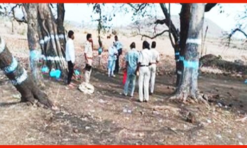 Madhya Pradesh Crime News : जादू टोना के शक में युवक की बेरहमी से पीट पीटकर हत्या, पेड़ पर फंदा बांध लटकाया शव