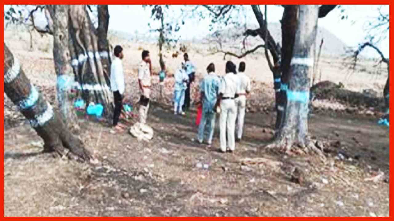 Madhya Pradesh Crime News : जादू टोना के शक में युवक की बेरहमी से पीट पीटकर हत्या, पेड़ पर फंदा बांध लटकाया शव