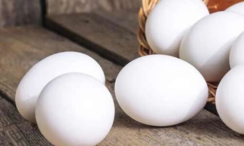 Is Egg Good for Health : क्या अंडा खाने से बढ़ जाता है कोलेस्ट्रॉल? क्या कहते हैं एक्सपर्ट्स?