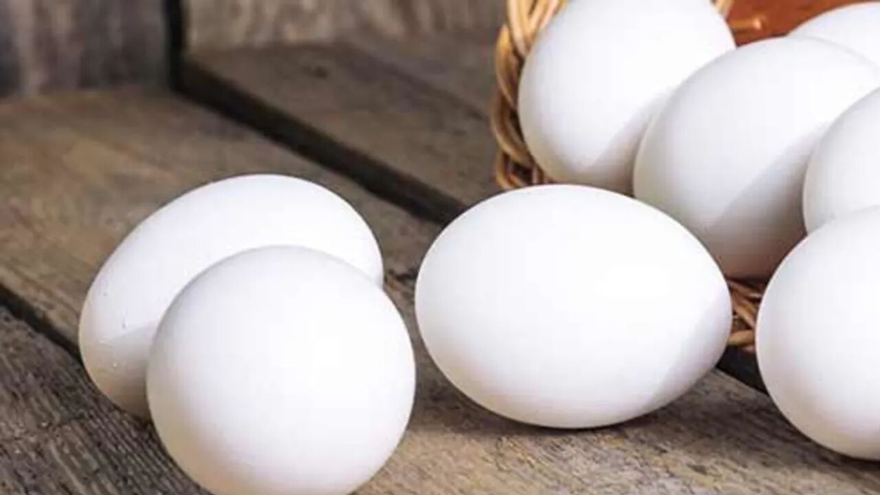 Is Egg Good for Health : क्या अंडा खाने से बढ़ जाता है कोलेस्ट्रॉल? क्या कहते हैं एक्सपर्ट्स?