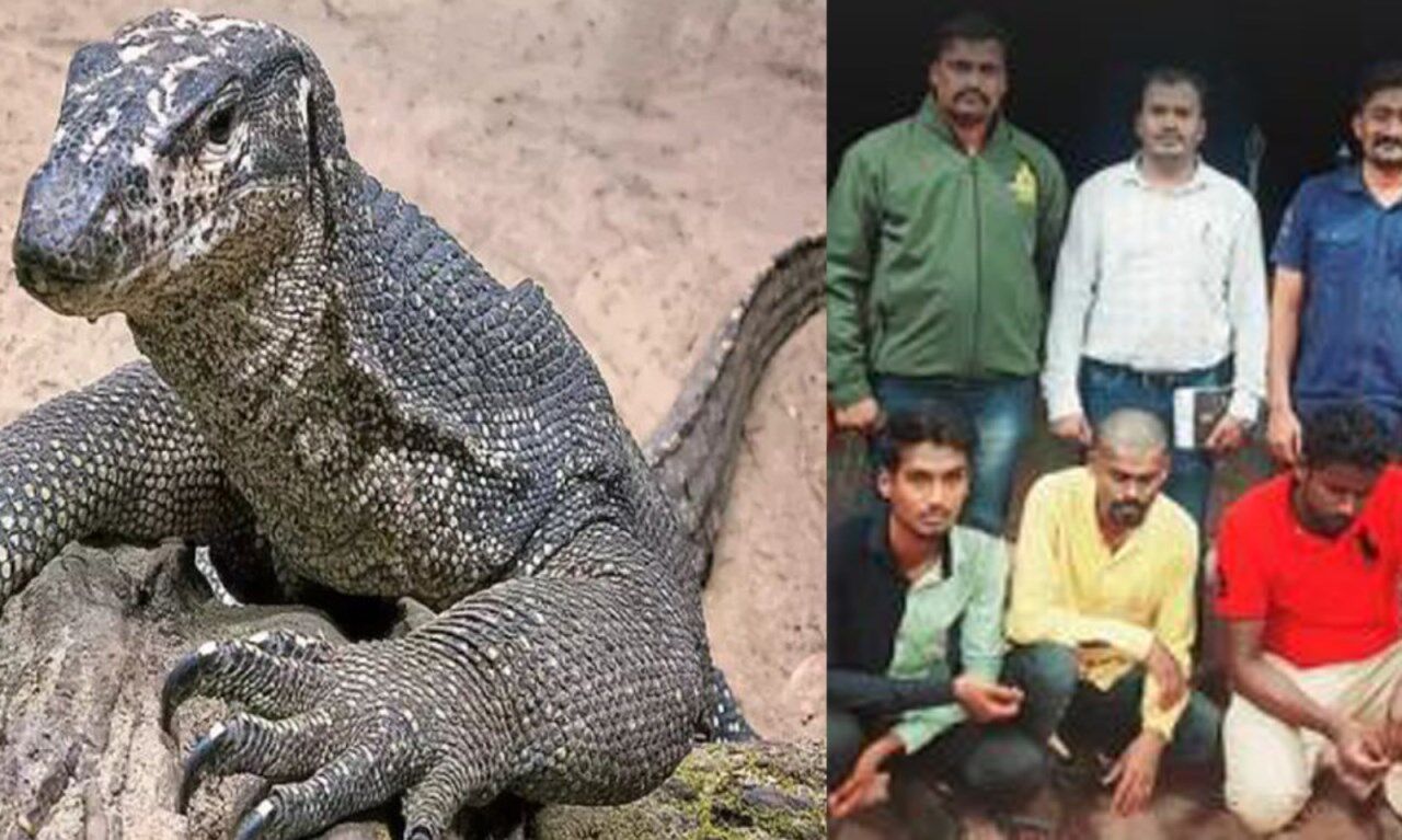 Monitor Lizard Raped: जंगल में मॉनिटर छिपकली के साथ हुआ गैंगरेप, सीसीटीवी फुटेज में दिखी हैवानियत